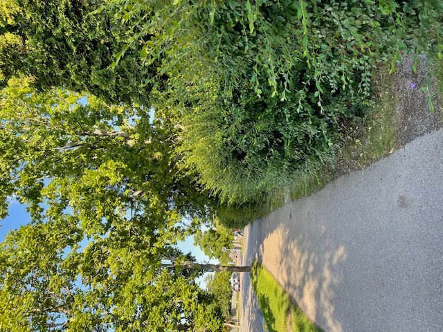 Hyresbostad på Vantaa i vantaa
