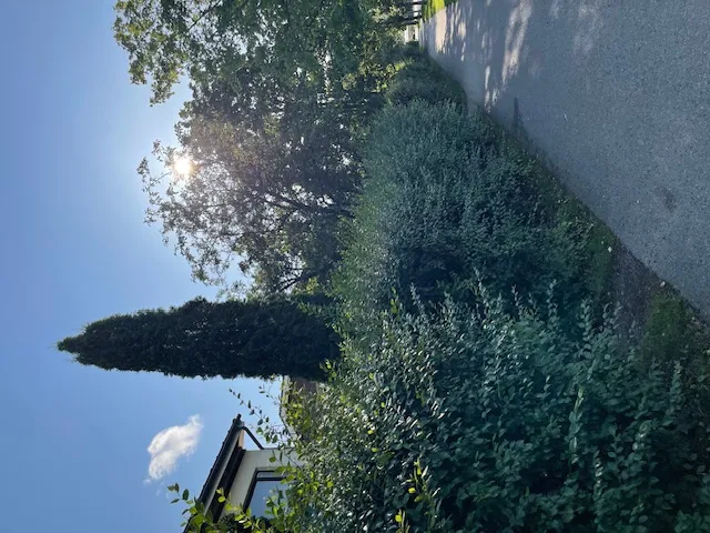 Hyresbostad på Vantaa i vantaa