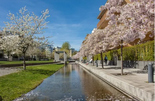 Hyreslägenhet på Stockholm i stockholm