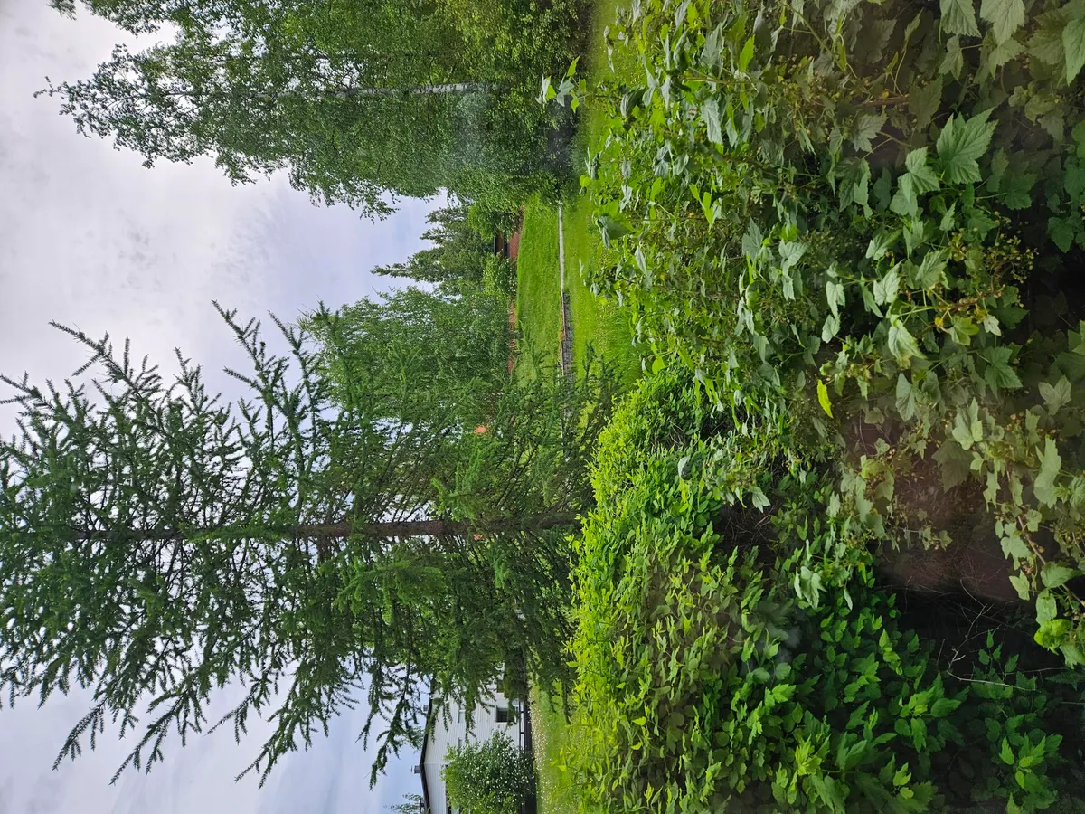 Hyreslägenhet på Oulu i oulu