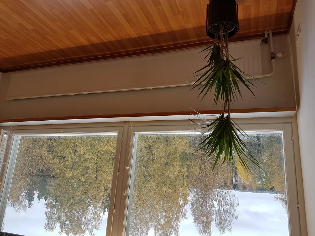 Hyreslägenhet på Lahti i lahti