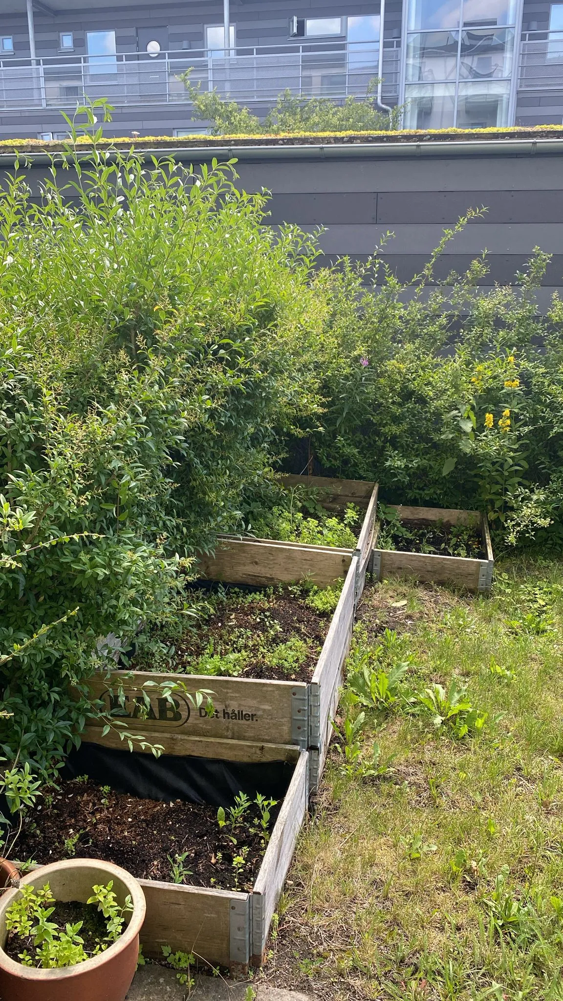 Hyreslägenhet på Lund i lund