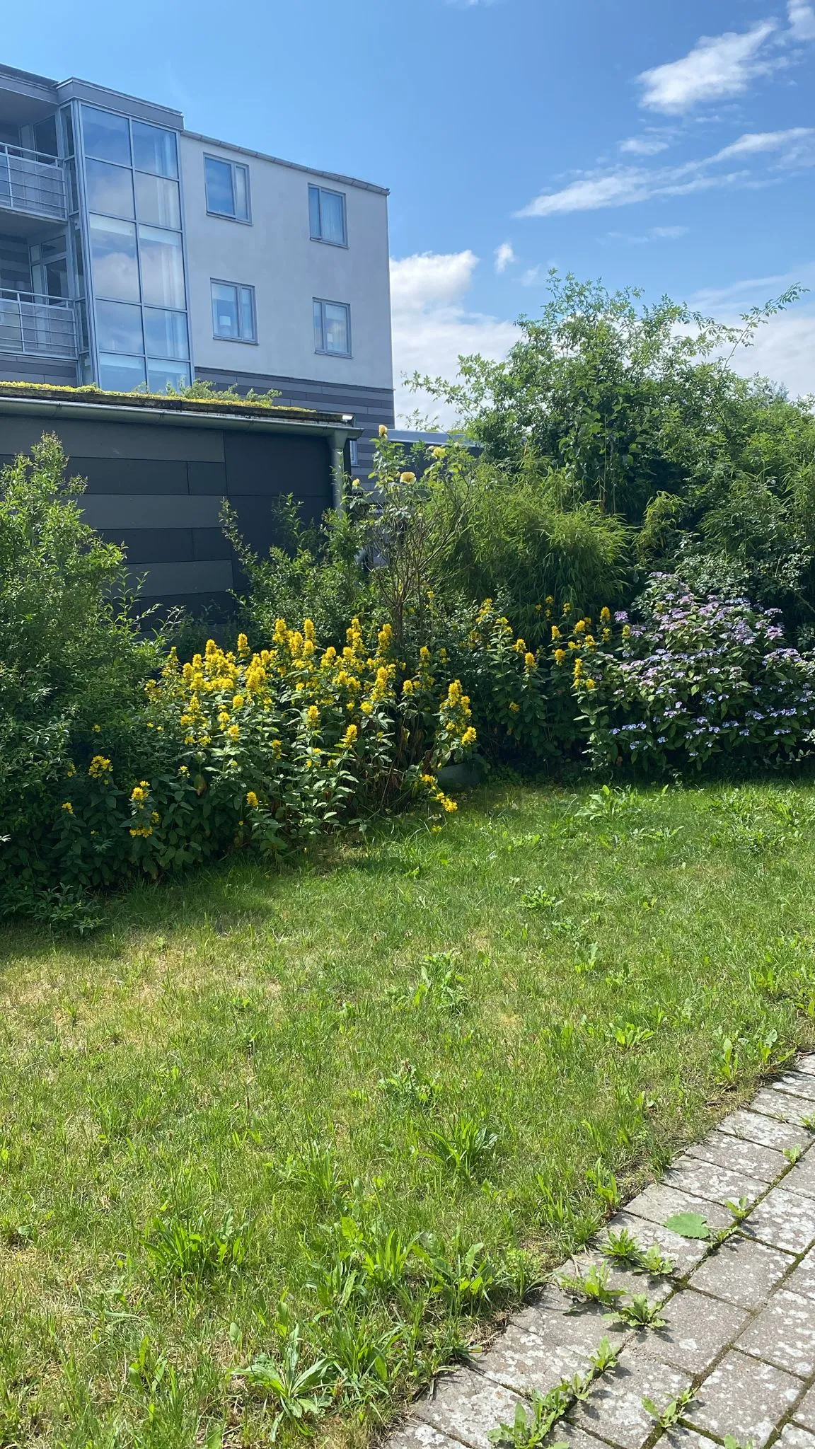 Hyreslägenhet på Lund i lund