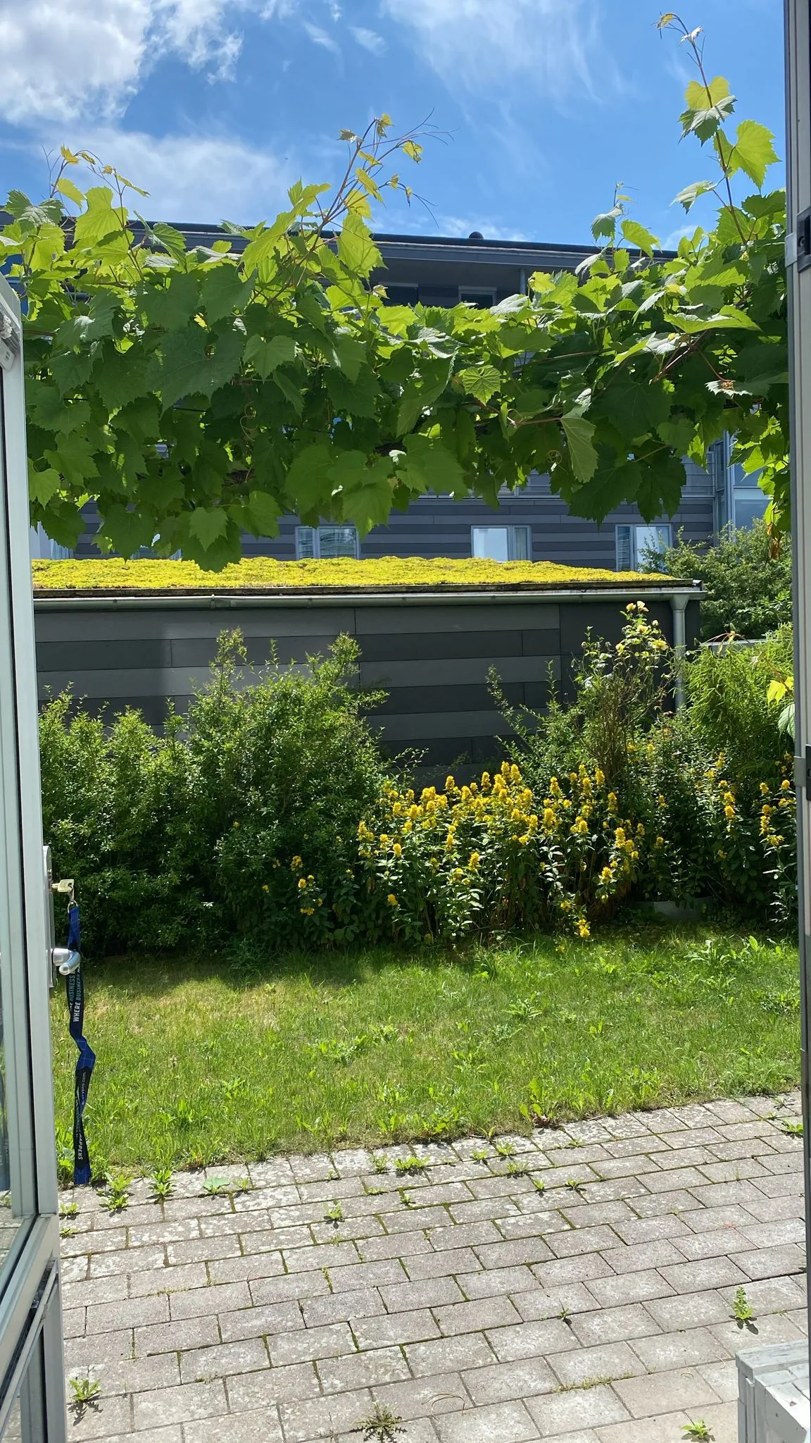 Hyreslägenhet på Lund i lund