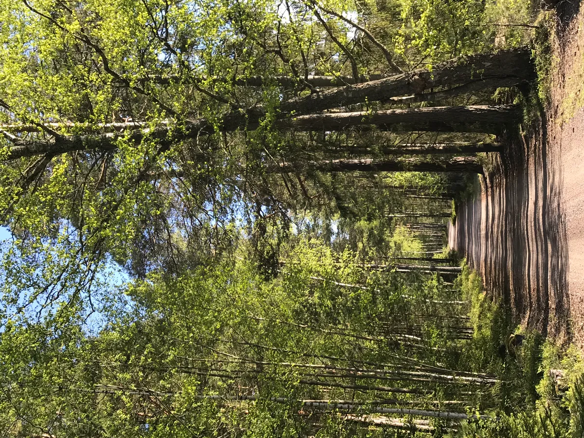 Hyresbostad på Värmdö i varmdo