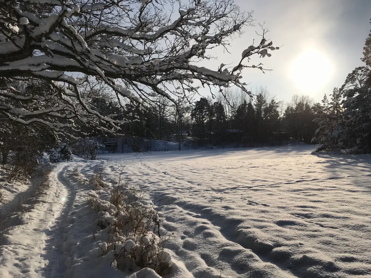 Hyresbostad på Värmdö i varmdo