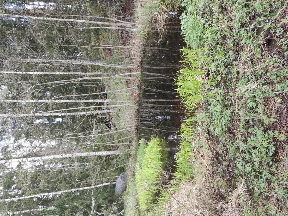Hyresbostad på Salo i salo
