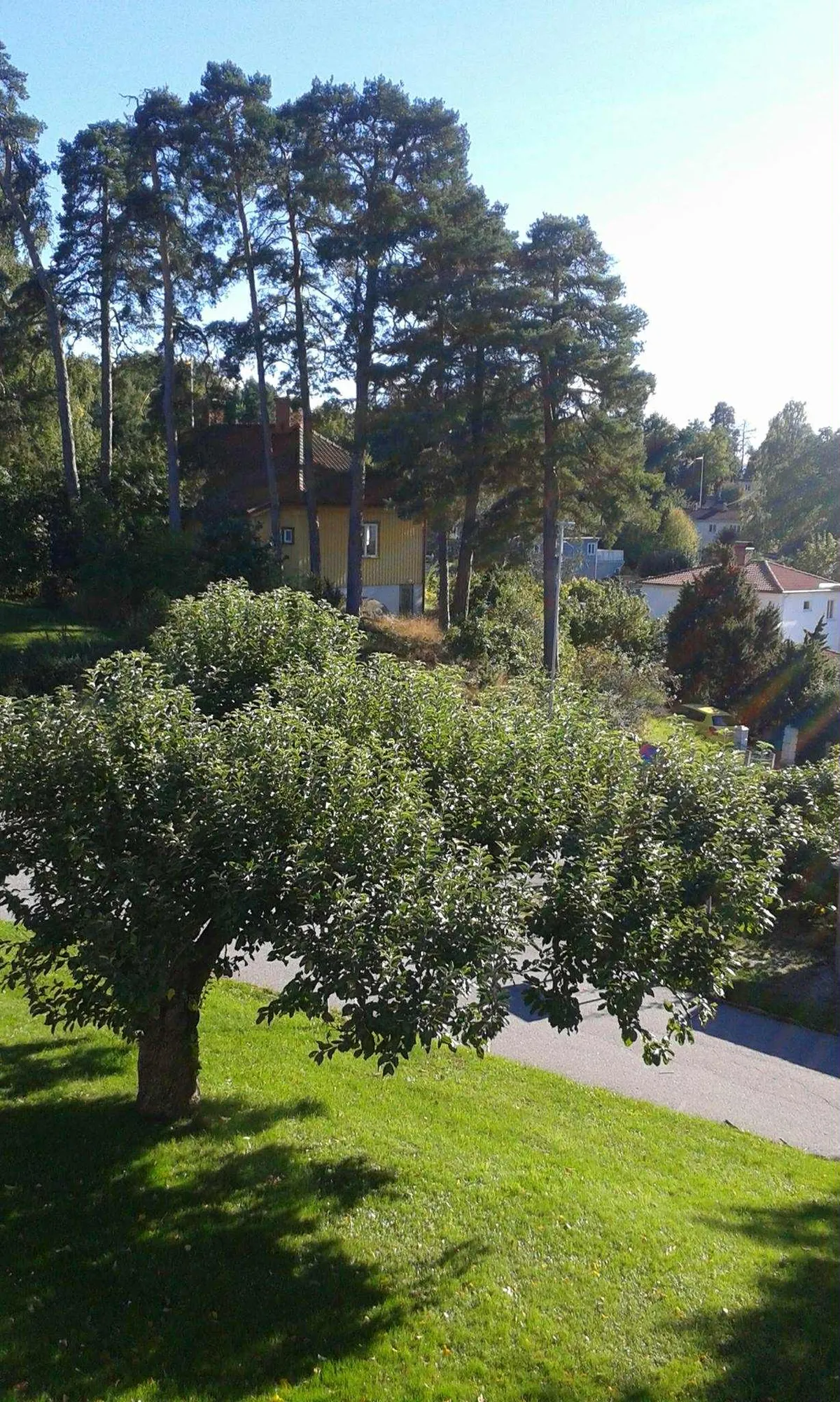 Hyreslägenhet på Danderyd i danderyd