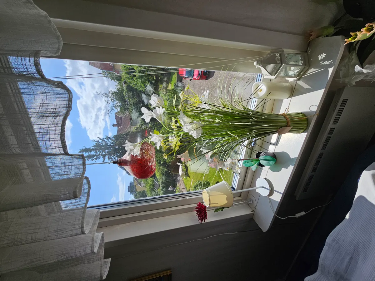 Hyreslägenhet på Uddevalla i uddevalla