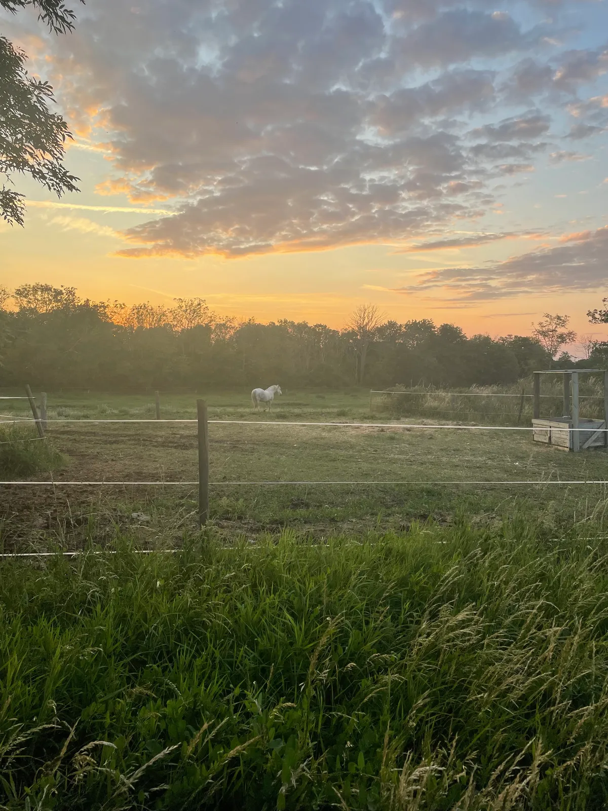 Hyresbostad på Borgholm i borgholm