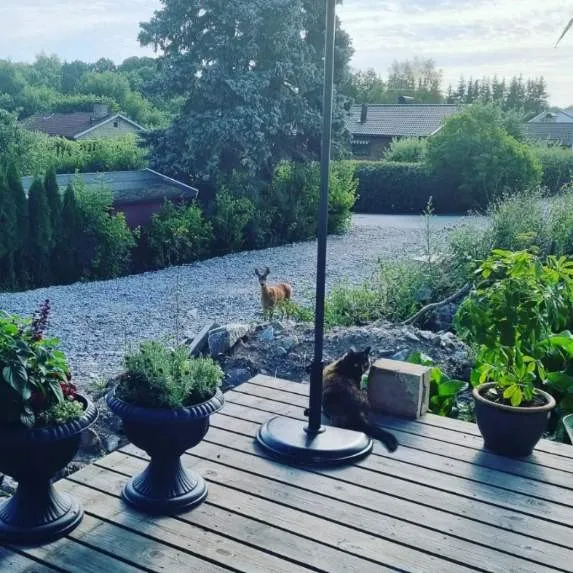 Hyresbostad på Järfälla i jarfalla