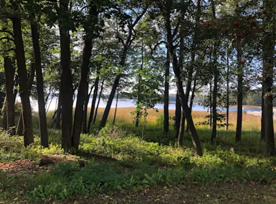 Hyreslägenhet på Helsinki i helsinki