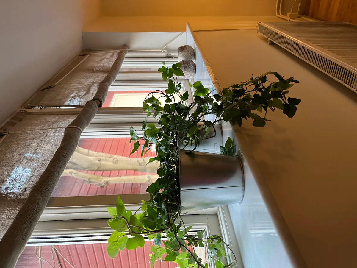 Hyreslägenhet på Västerås i vasteras