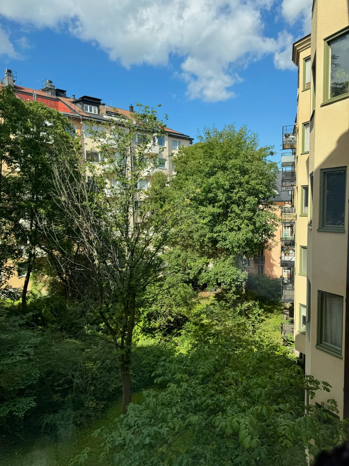 Hyreslägenhet på Stockholm i stockholm