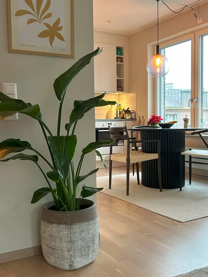 Hyreslägenhet på Mölndal i molndal