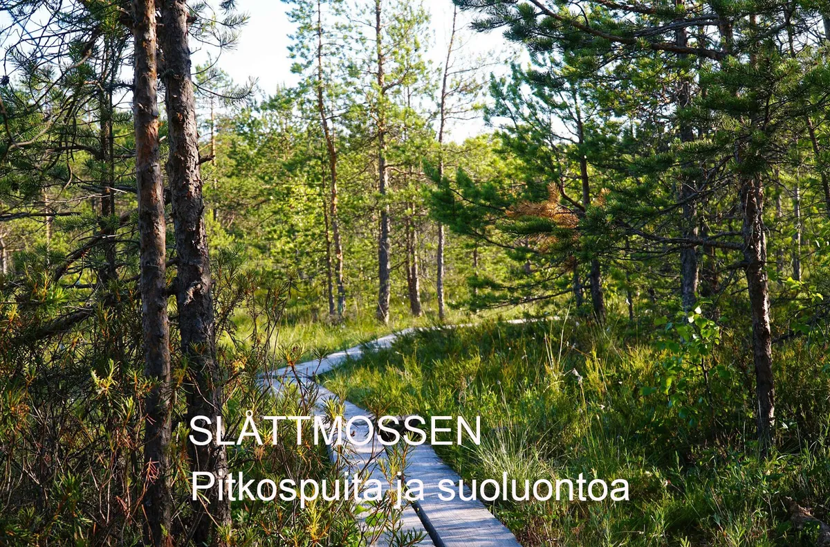 Hyreslägenhet på Helsinki i helsinki