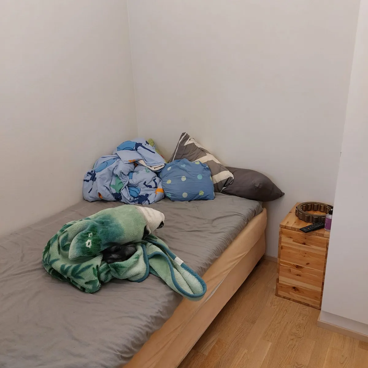 Hyreslägenhet på Tampere i tampere