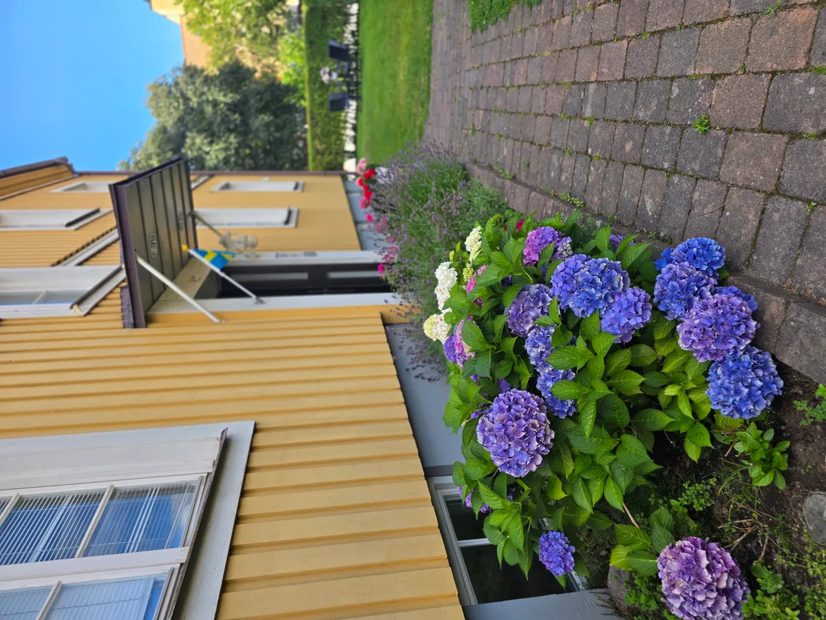 Hyreslägenhet på Norrköping i norrkoping