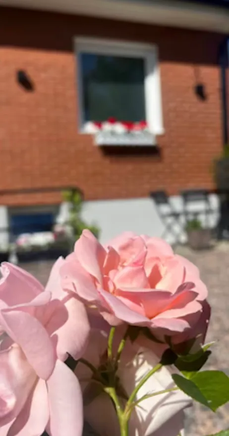 Hyresbostad på Vellinge i vellinge