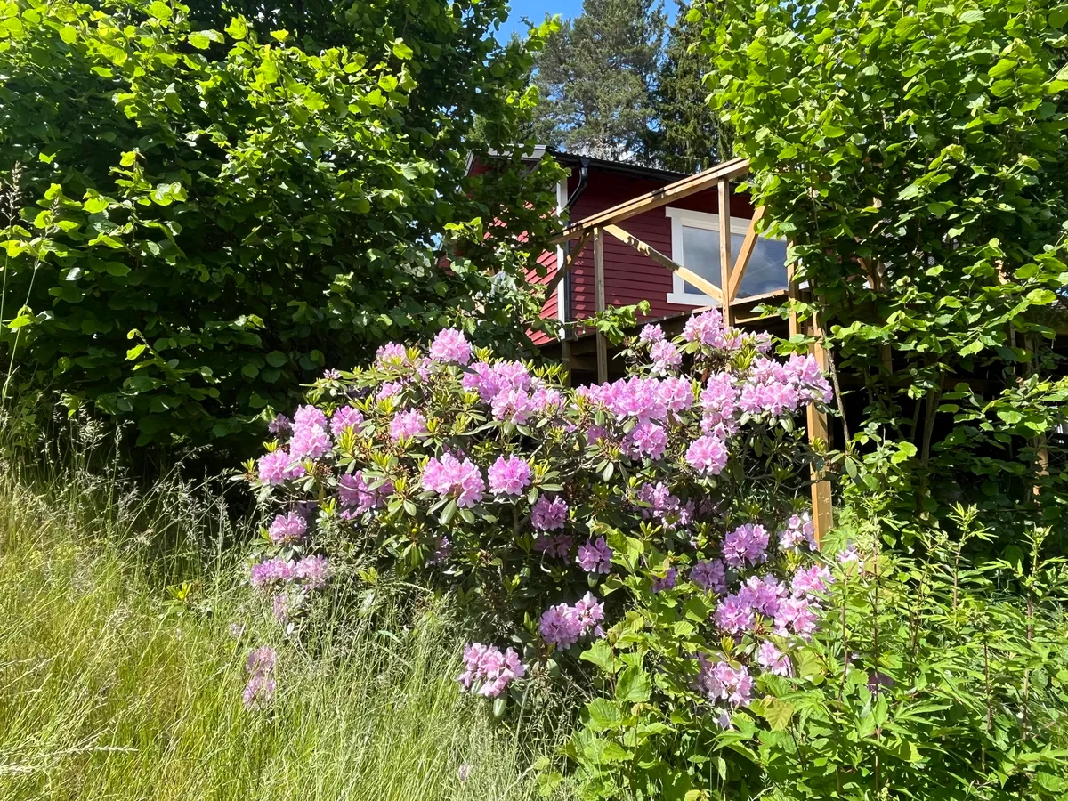 Hyresbostad på Norrtälje i norrtalje
