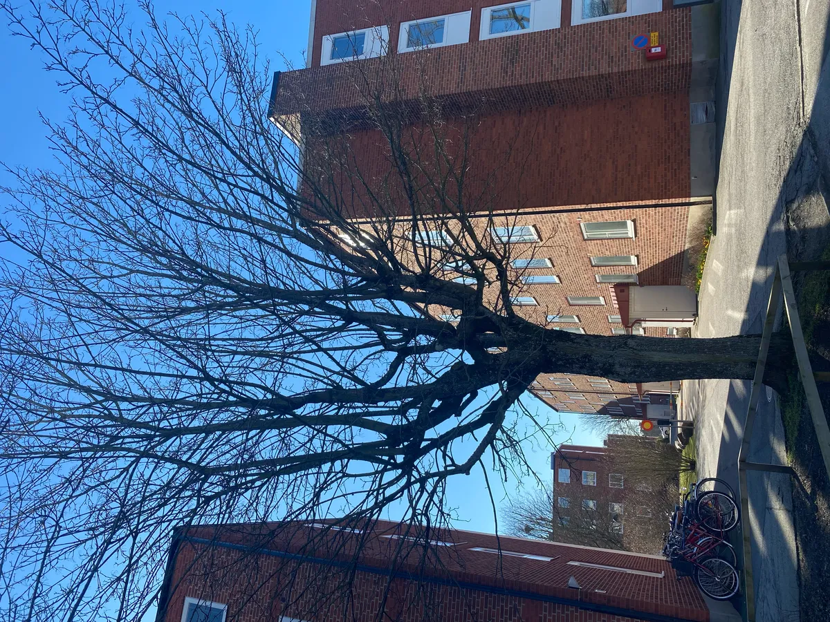 Hyreslägenhet på Lund i lund