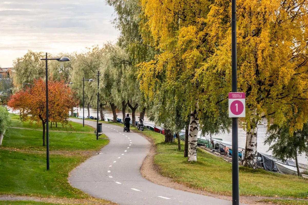 Hyreslägenhet på Oulu i oulu