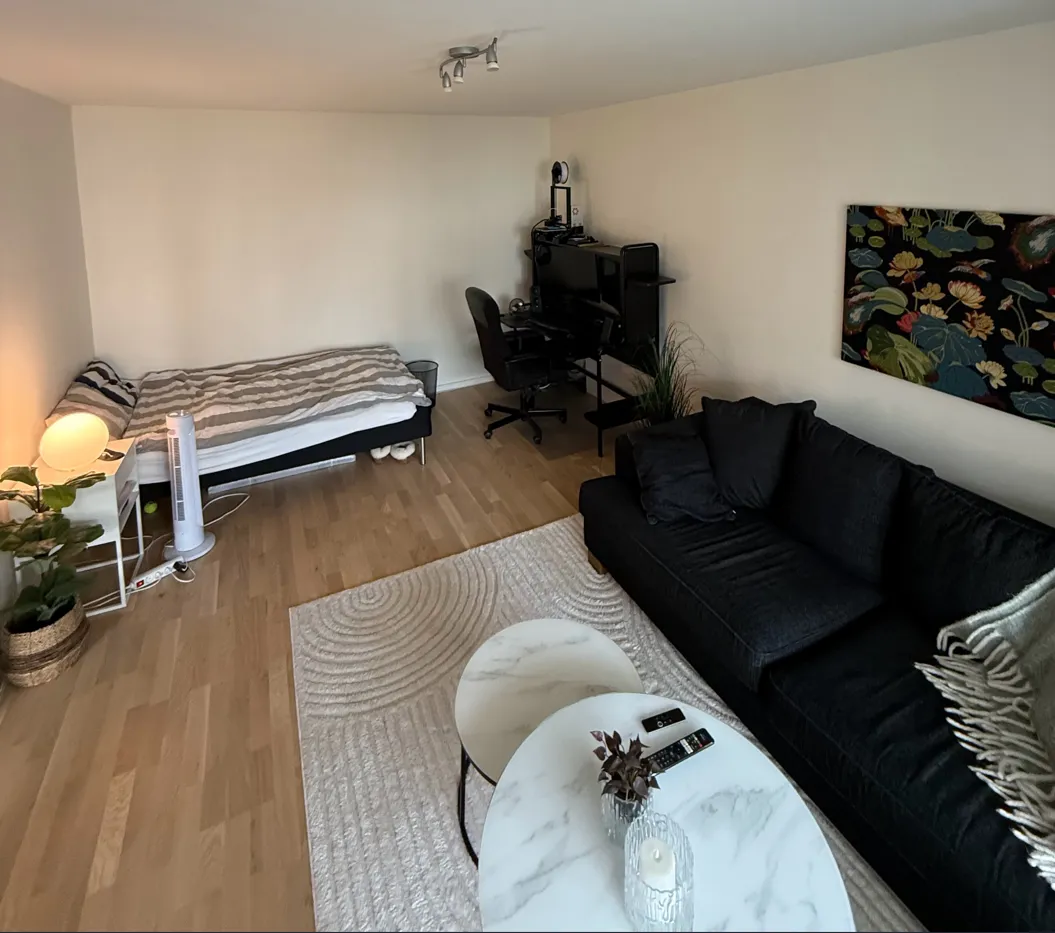 Hyreslägenhet på Halmstad i halmstad