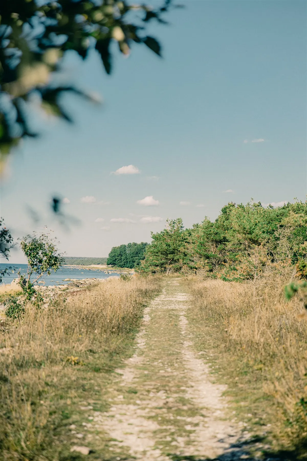Hyresbostad på Visby i visby