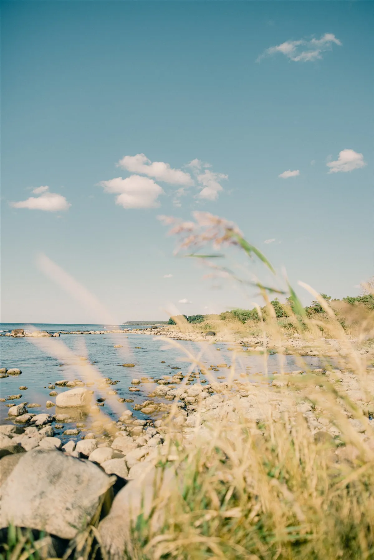 Hyresbostad på Visby i visby