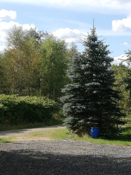 Hyresbostad på Örkelljunga i orkelljunga