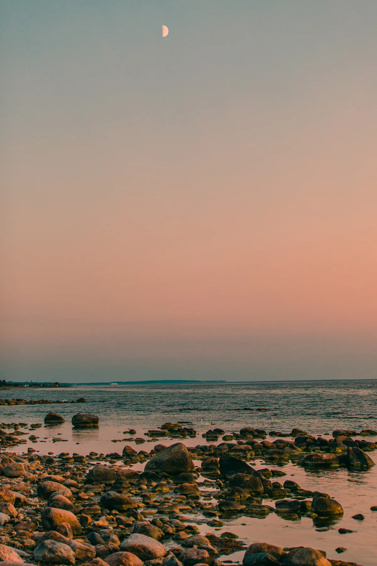 Hyreslägenhet på Visby i visby