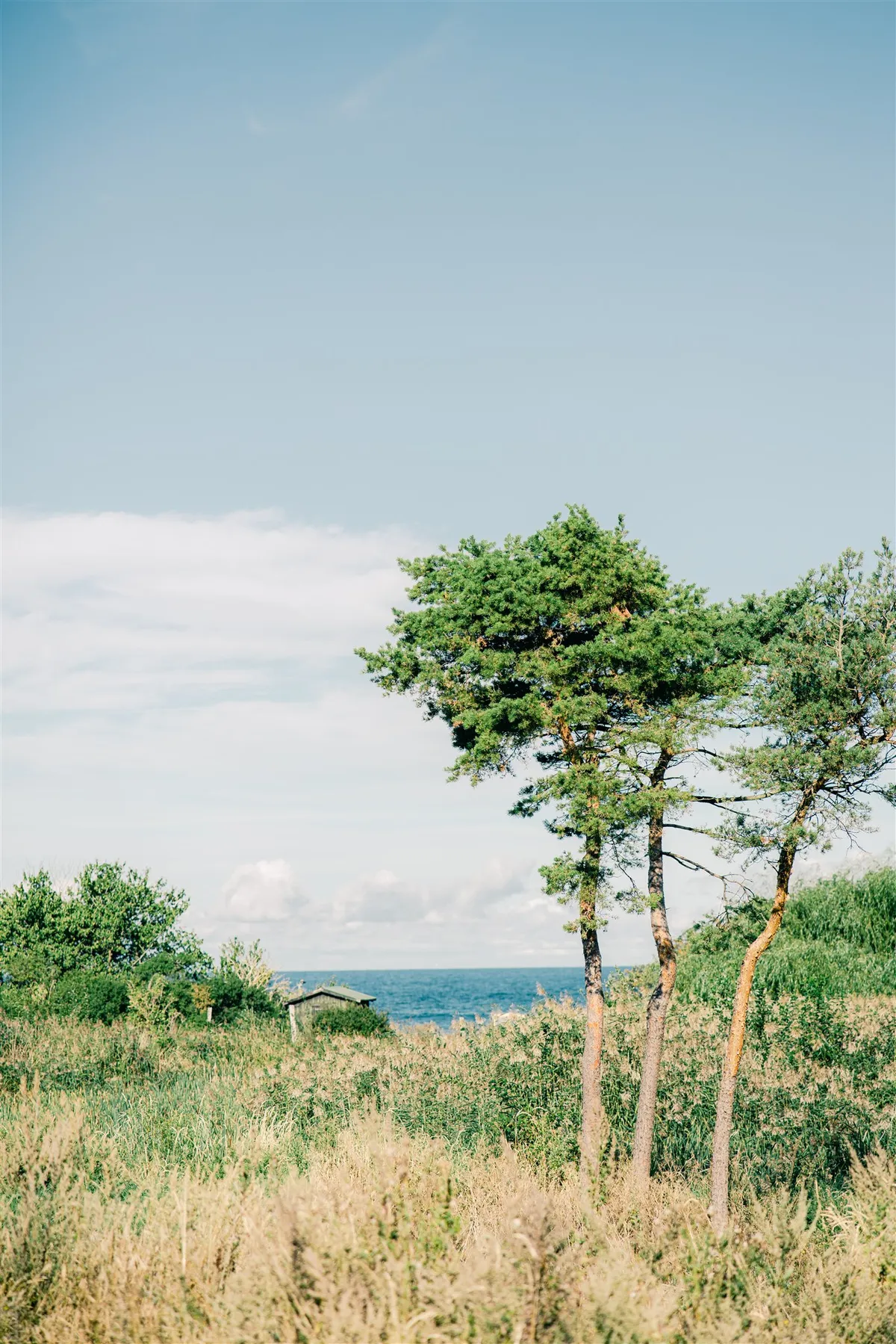 Hyresbostad på Visby i visby