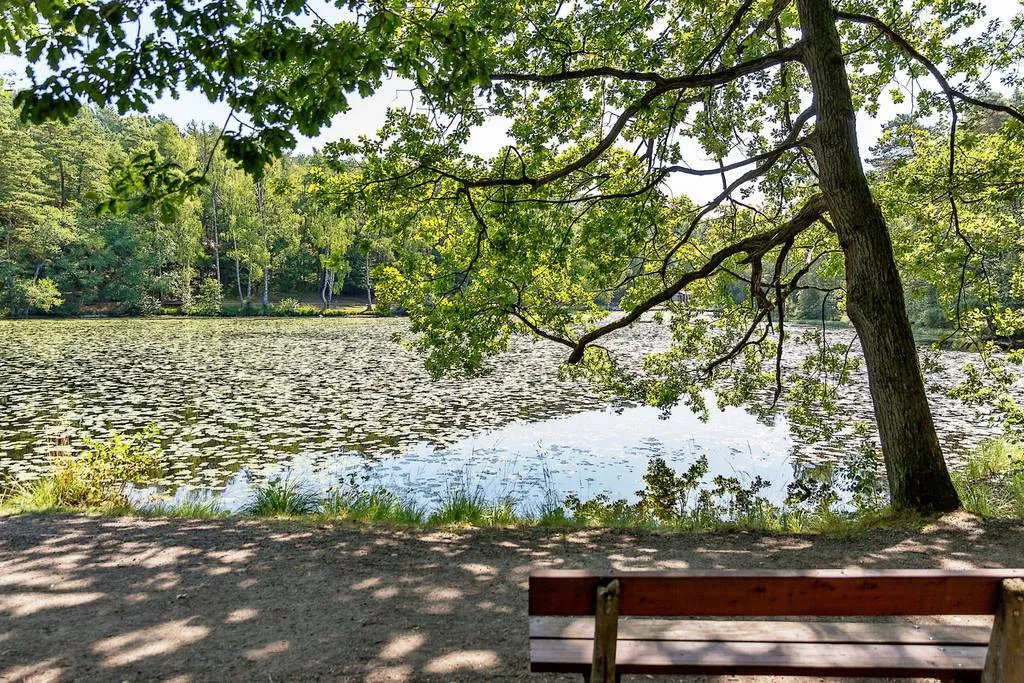Hyreslägenhet på Göteborg i goteborg