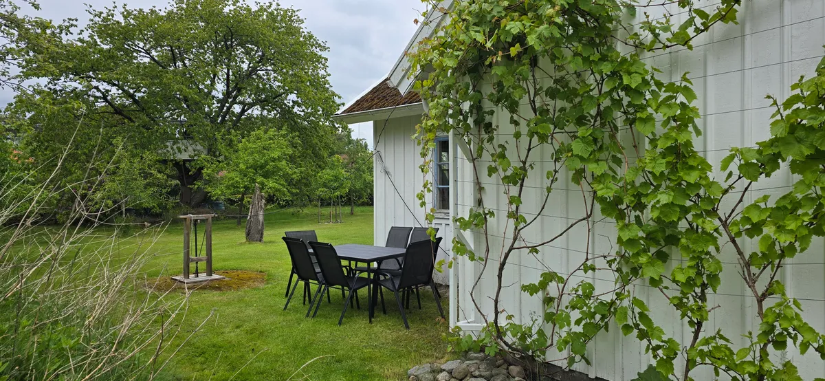 Hyresbostad på Åsa i asa
