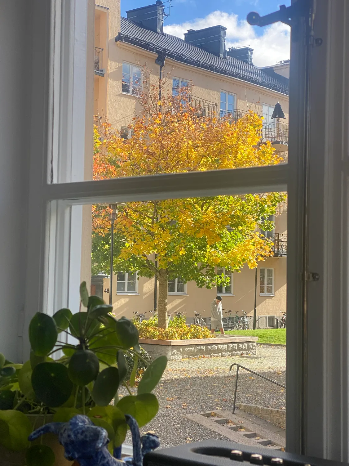 Hyreslägenhet på Stockholm i stockholm