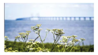 Hyresbostad på Bunkeflostrand i bunkeflostrand