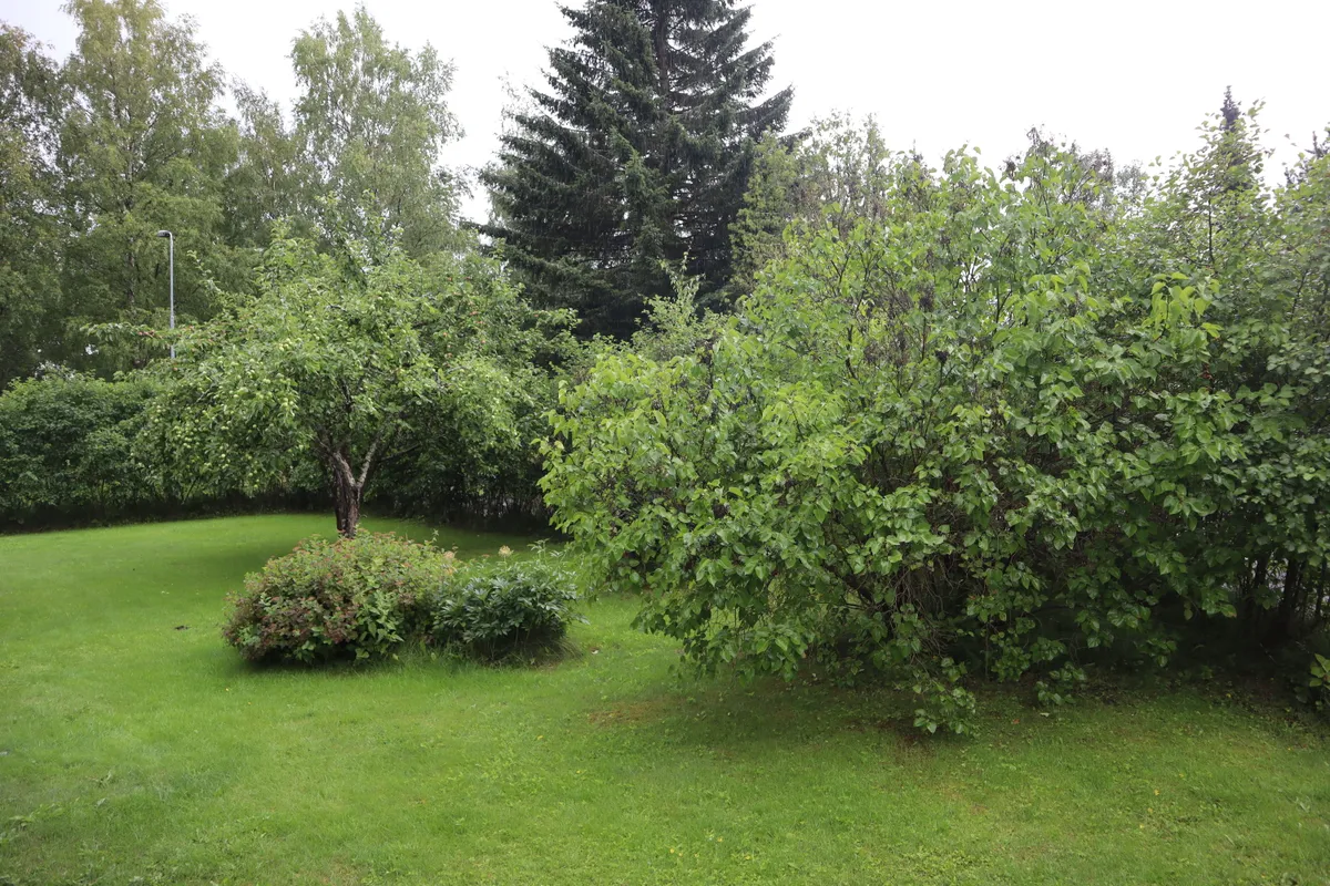 Hyresbostad på Pori i pori