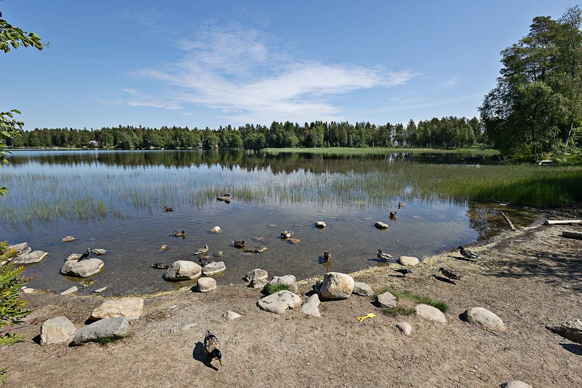Hyreslägenhet på Umeå i umea