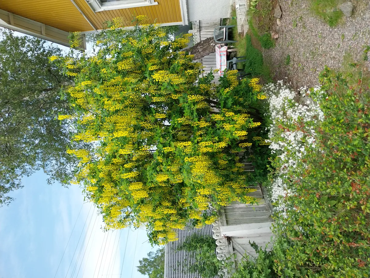 Hyreslägenhet på Turku i turku