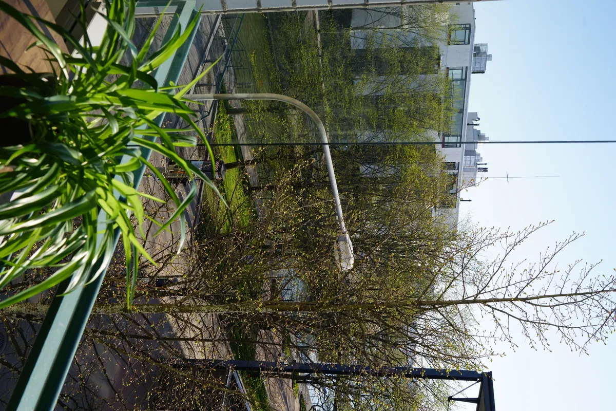 Hyreslägenhet på Helsinki i helsinki