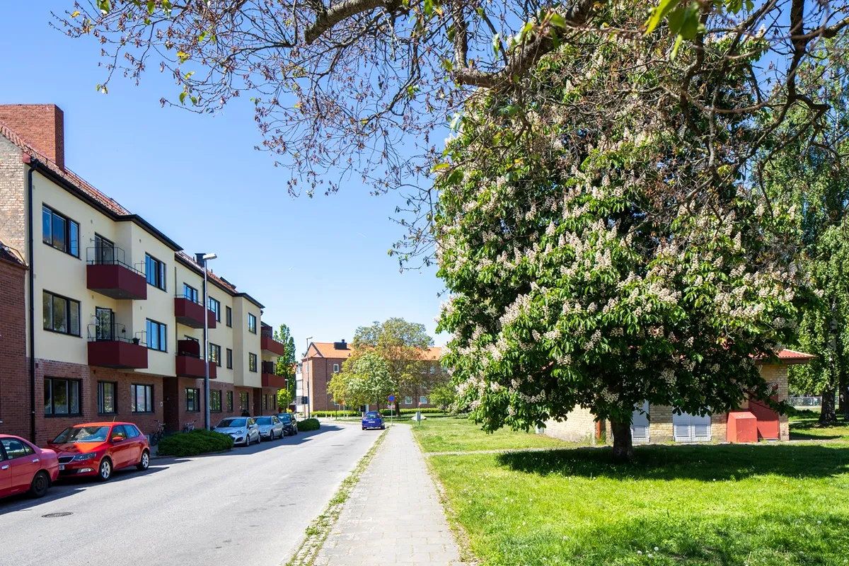 Hyreslägenhet på Landskrona i landskrona