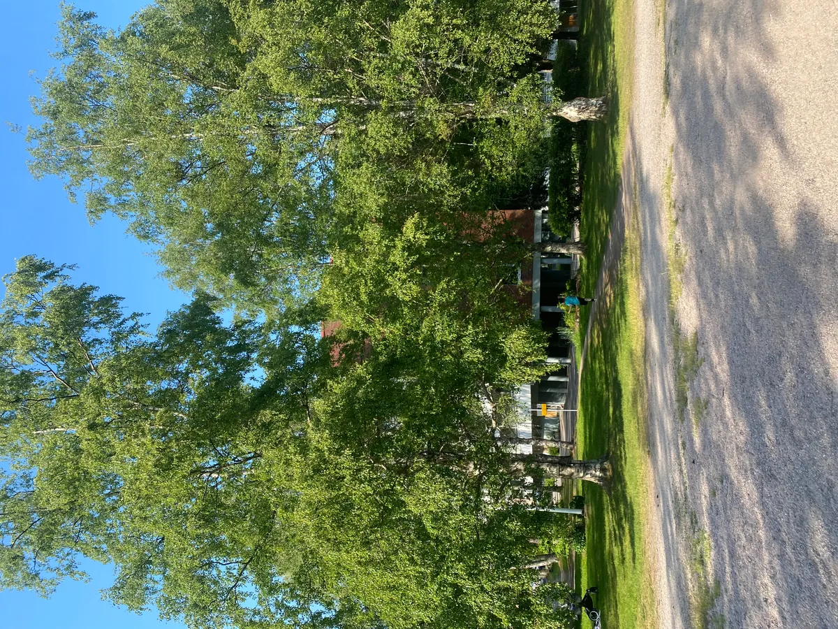 Hyreslägenhet på Helsinki i helsinki