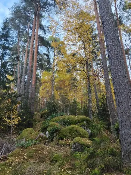 Hyresbostad på Uppsala i uppsala