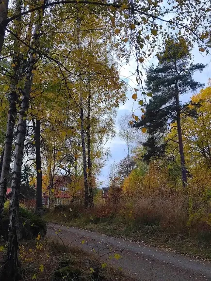 Hyresbostad på Uppsala i uppsala
