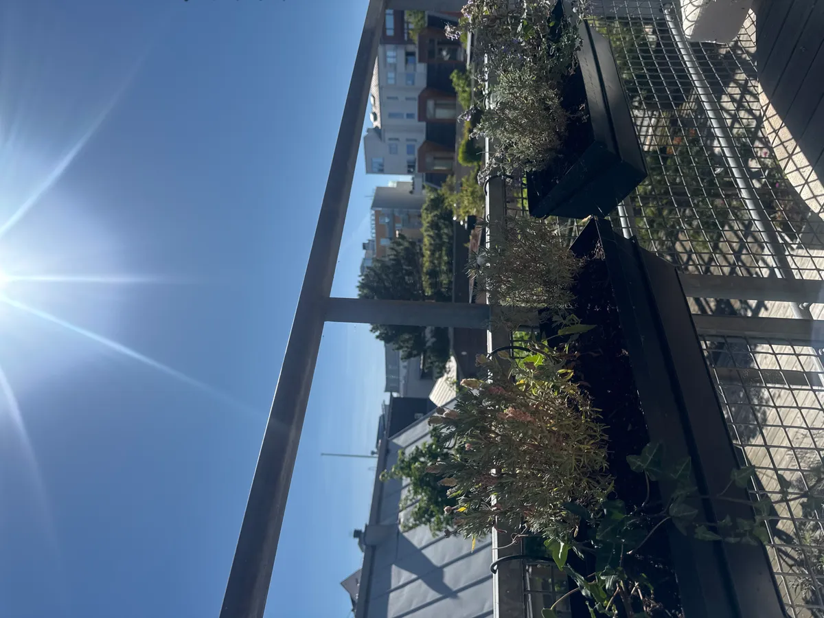 Hyreslägenhet på Malmö i malmo