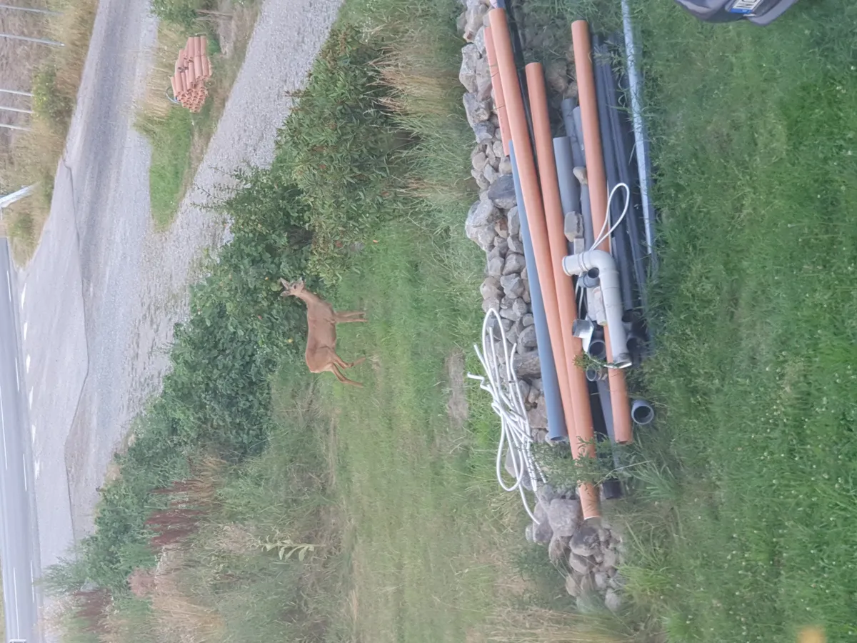 Hyreslägenhet på Sorunda i sorunda