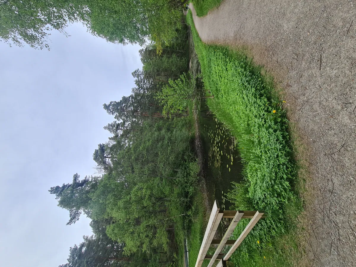 Hyreslägenhet på Vällingby i vallingby