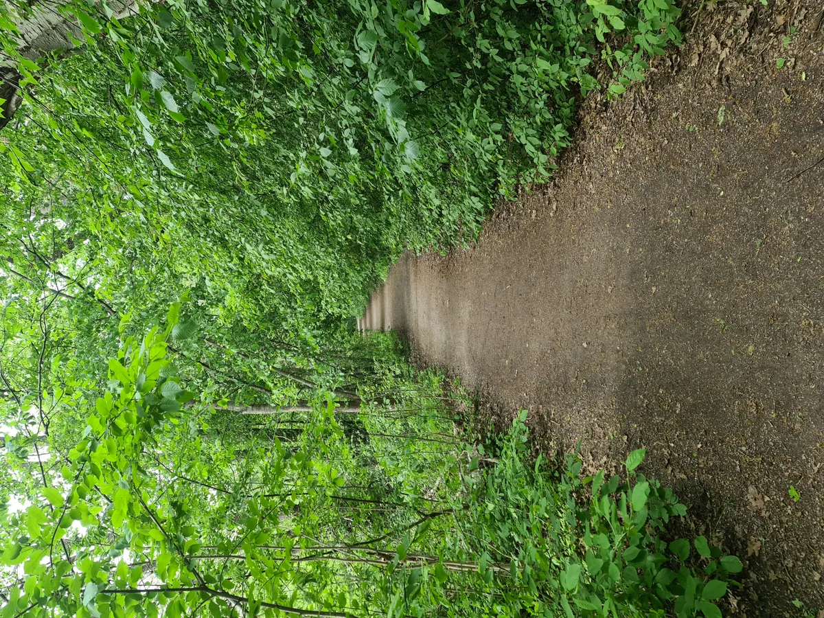 Hyreslägenhet på Vällingby i vallingby