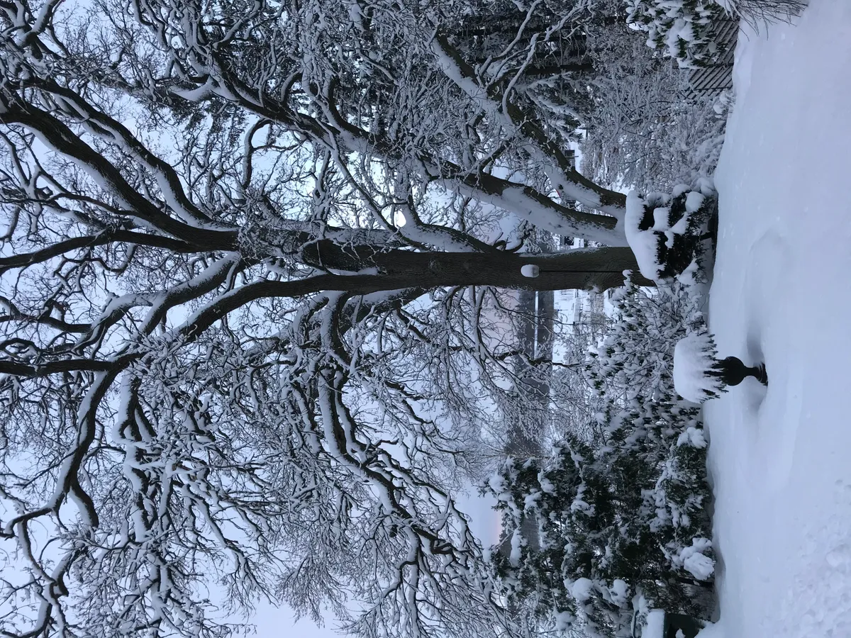 Hyreslägenhet på Karlstad i karlstad