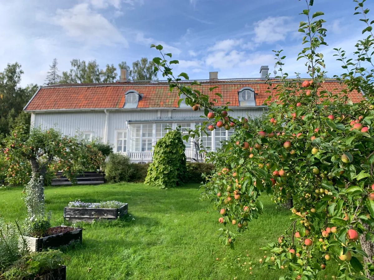 Hyreslägenhet på Timrå i timra